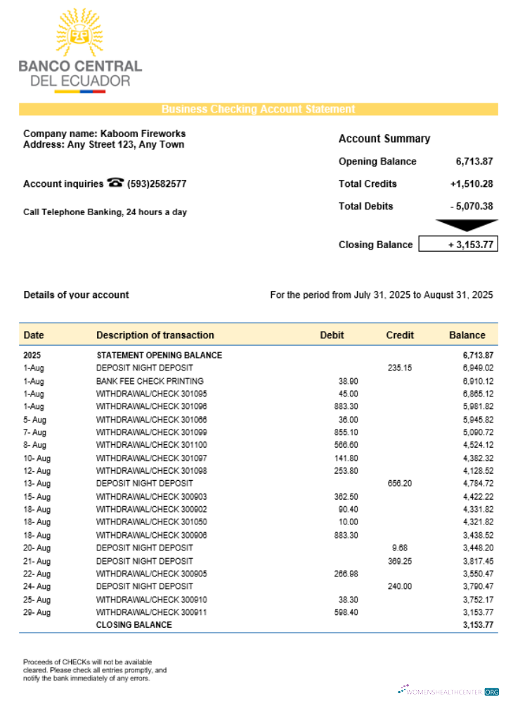 Central Bank of Ecuadorian organization checking account statement Word and PDF format